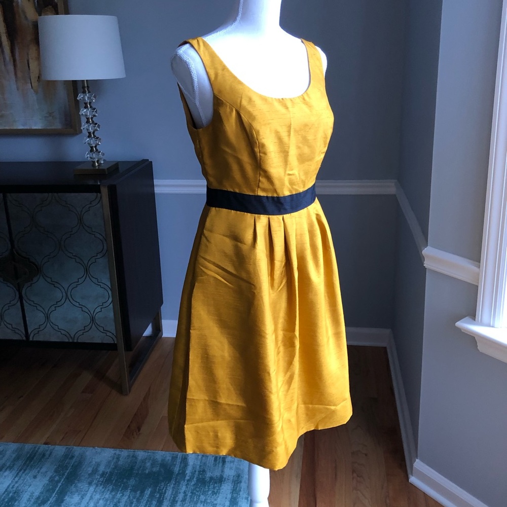 The Limited shiny gold and black midi dress